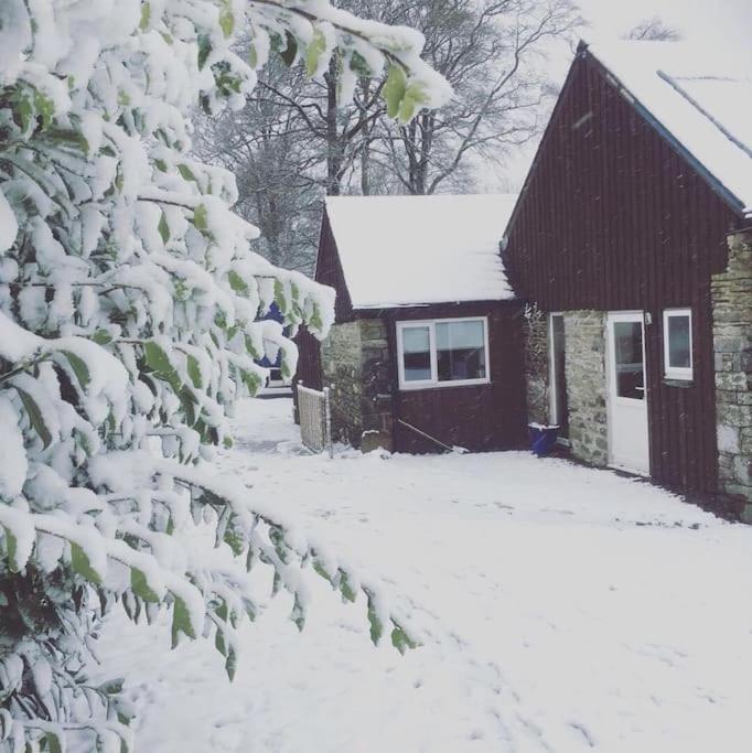 Y Boidy Bach Villa Ланграног Екстериор снимка